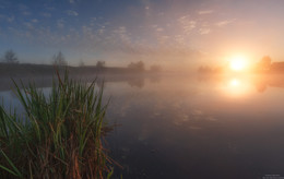 am frühen Morgen / ***