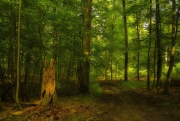 Sommer kommt bald / ***