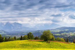 May in Poland / ***