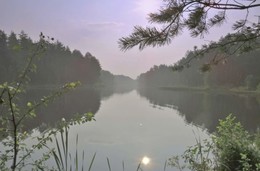 Fog after the rain / ***