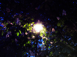 May evening / ***