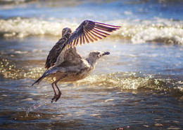 Takeoff / ...