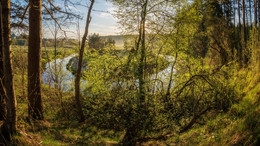 May morning / ...