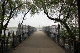 Shore Road, Bay Ridge, Brooklyn, NY. / ***