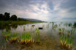Kinneret / ***