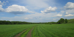 On the way to clouds / ***