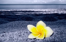 Memories / ***