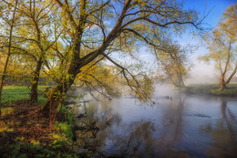SPRING MORNING / ***