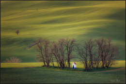 Strážovická kaplička / ***