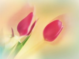  / Springtime...