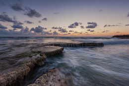 Mediterranean / Dor National Park. Israel