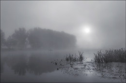 dominated by fog / ***