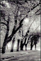 Licht / ***