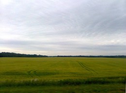 Distance / ***
