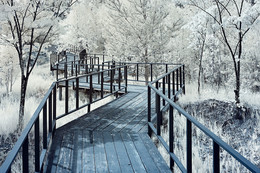  / ir-photo