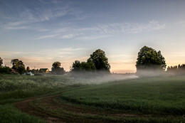 Morgendämmerung / ***