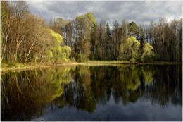 Frühlings-Teich / ***