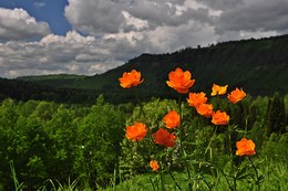 Beleuchtung / ***
