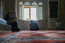 reportage / ***