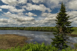 At the pond / ***