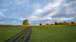 Herauf / ***