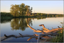 Spring Evening / ***