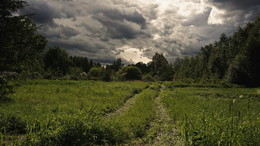Before the storm / ***
