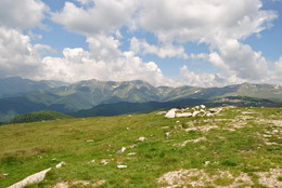 Transalpina ## / Transalpina