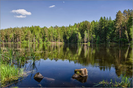 Am See in den Wäldern / ***