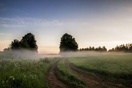 In the early summer / ***