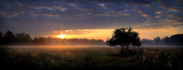 At dawn / ***