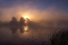 Morning begins! / Pentax KX 18-55