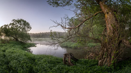 Morgennebel / ...