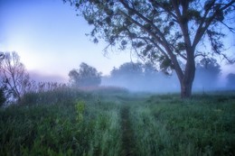 Soon dawn / Pentax KX 18-55