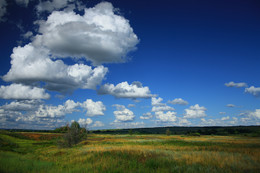 Endless expanses / ***