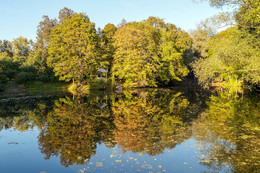Reflection of autumn / ***