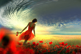 Mohn / ***