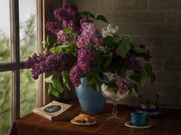 lilac / ***