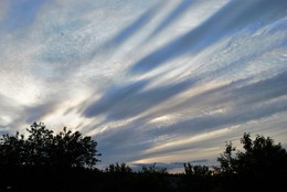 Wind des Wandels / &quot; &quot; &quot;