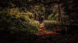 Secluded place / ***