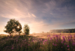 wakening / ***