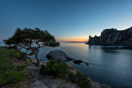 Evening / ***