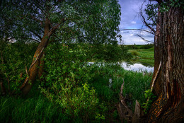 By the pond ... / ***