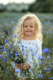 Wildblumen / ***