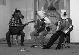horses / ***
