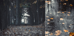 I will remember ... / ***