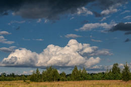 Nature after rain / ***
