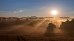 Foggy morning / ***