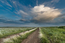On the way to clouds / ***