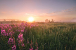 In the light of a new day / ***